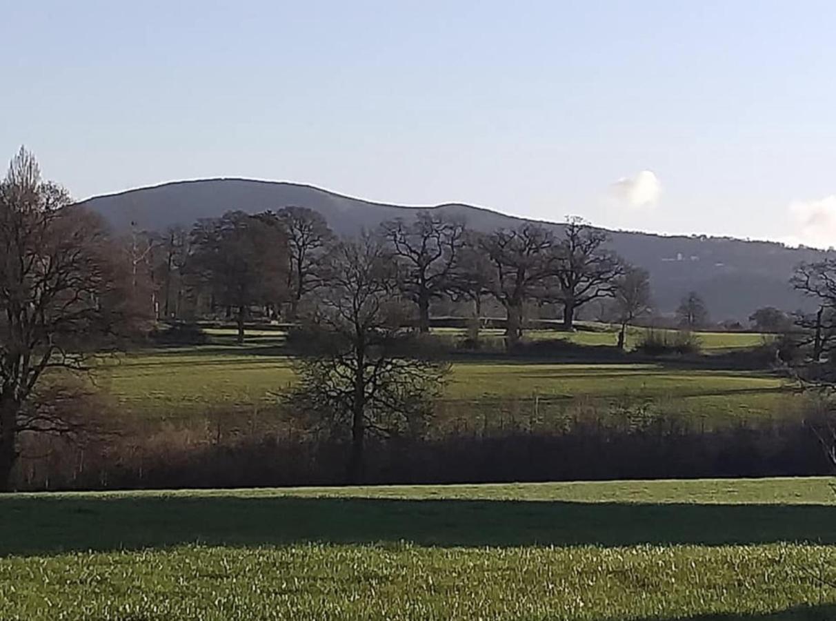 Colwall Hedgehog Lodge المظهر الخارجي الصورة