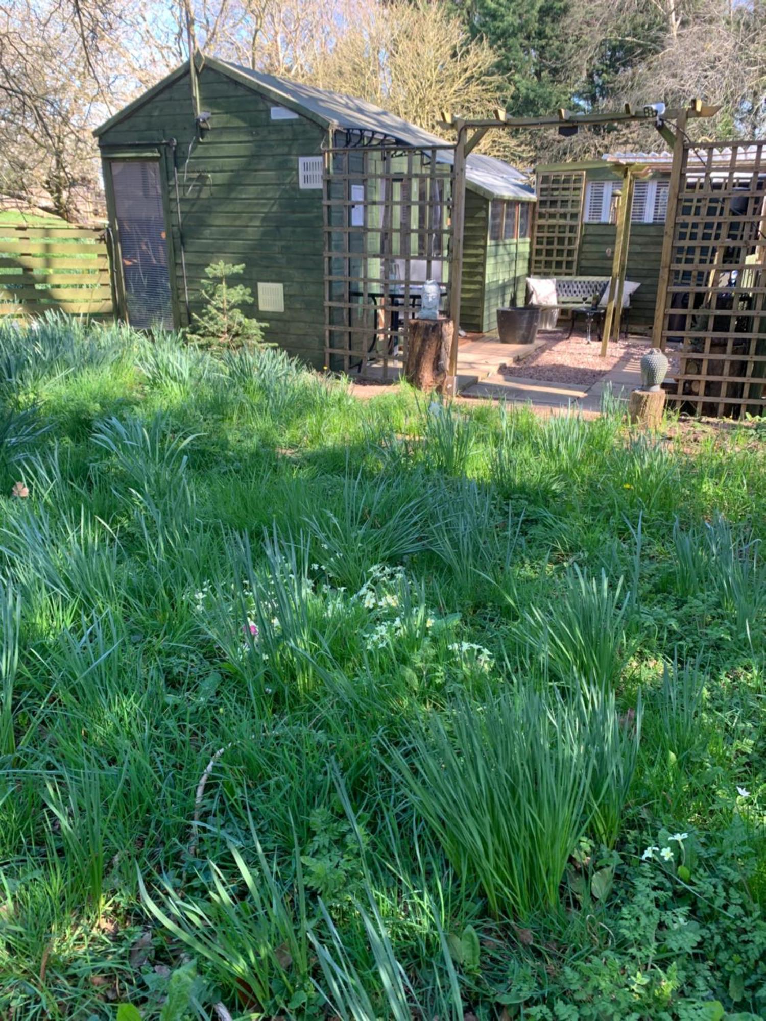 Colwall Hedgehog Lodge المظهر الخارجي الصورة